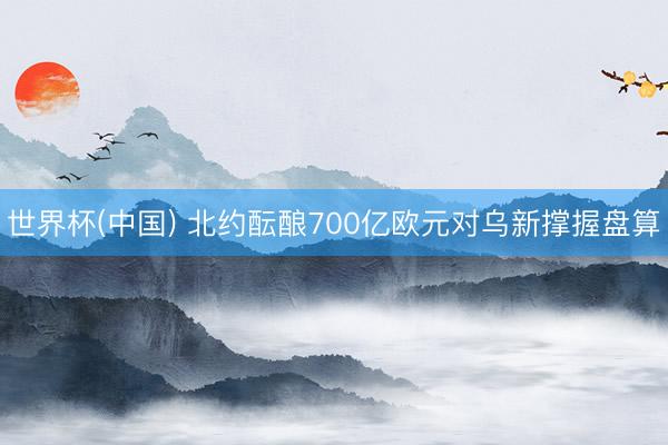 世界杯(中国) 北约酝酿700亿欧元对乌新撑握盘算