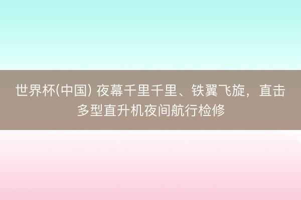 世界杯(中国) 夜幕千里千里、铁翼飞旋,直击多型直升机夜间航行检修