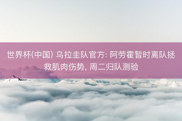 世界杯(中国) 乌拉圭队官方: 阿劳霍暂时离队拯救肌肉伤势， 周二归队测验