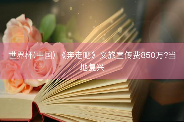 世界杯(中国) 《奔走吧》文旅宣传费850万?当地复兴