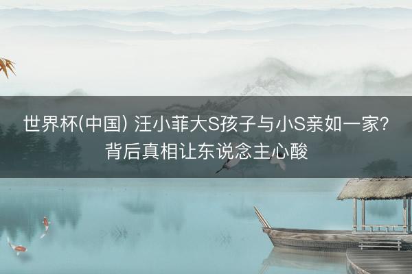 世界杯(中国) 汪小菲大S孩子与小S亲如一家?背后真相让东说念主心酸