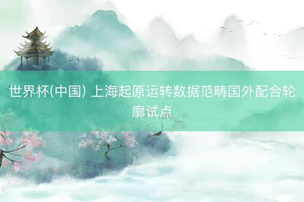 世界杯(中国) 上海起原运转数据范畴国外配合轮廓试点
