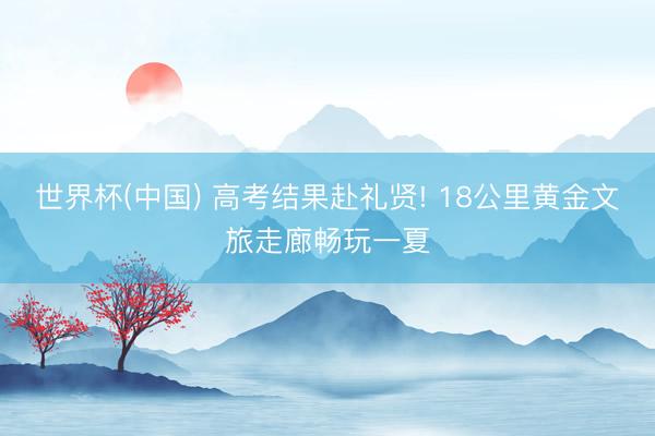 世界杯(中国) 高考结果赴礼贤! 18公里黄金文旅走廊畅玩一夏