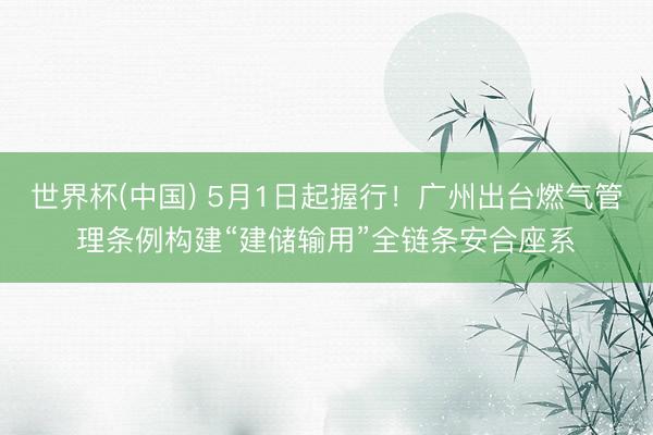 世界杯(中国) 5月1日起握行！广州出台燃气管理条例构建“建储输用”全链条安合座系