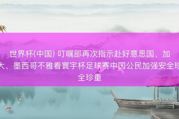 世界杯(中国) 叮嘱部再次指示赴好意思国、加拿大、墨西哥不雅看寰宇杯足球赛中国公民加强安全珍重