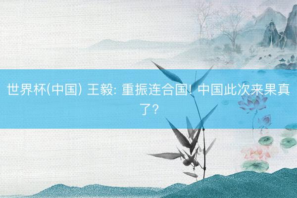 世界杯(中国) 王毅: 重振连合国! 中国此次来果真了?